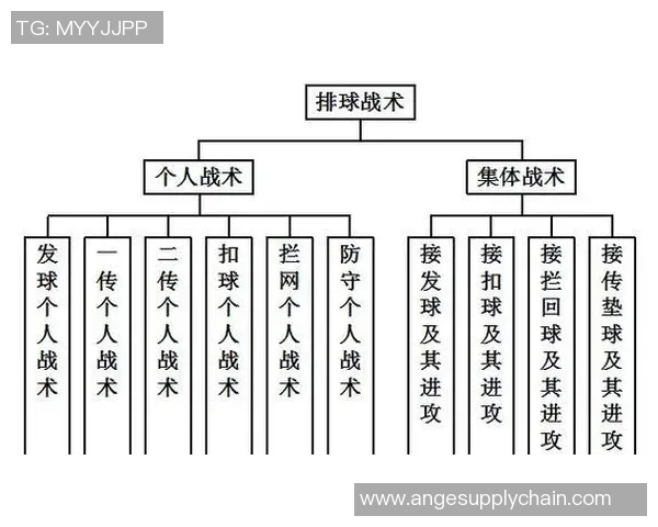 北京排球队快攻战术解析与深度剖析排球竞技的魅力与挑战