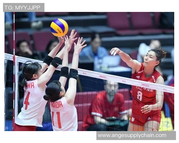 南京排球队战术之争引发热议球迷与专家观点交锋