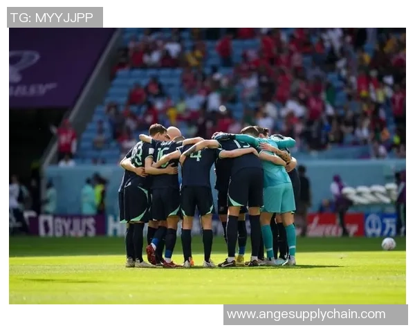 卡塔尔足球明星齐聚一堂合照展现团结与激情的瞬间