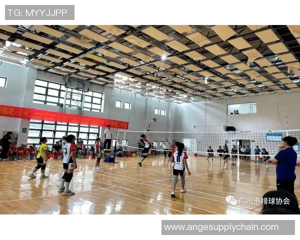 广州排球队个人能力深度解析与排球技术的完美结合