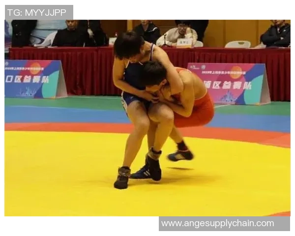 杭州乒乓球队的成长之路与冠军赛背后的奋斗精神