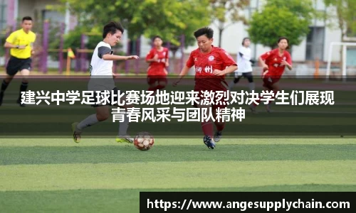 乐发Vll官网