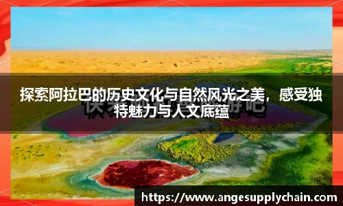 乐发Vll官方平台