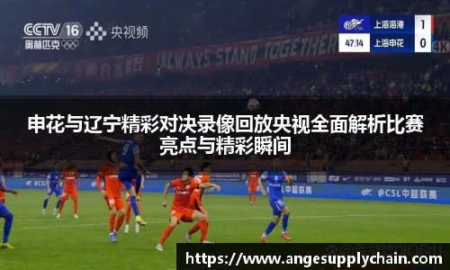 申花与辽宁精彩对决录像回放央视全面解析比赛亮点与精彩瞬间