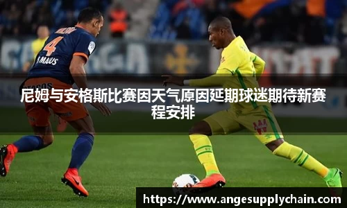 乐发Vll官网