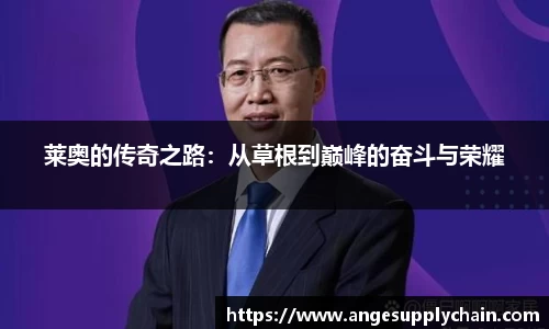 乐发Vll官网
