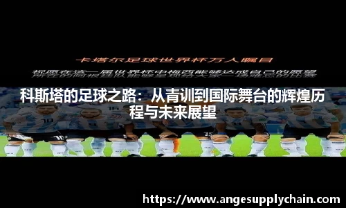 乐发Vll官网