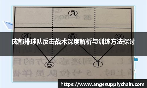 乐发Vll官方网站
