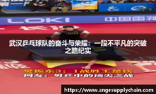 武汉乒乓球队的奋斗与荣耀：一段不平凡的突破之路纪实