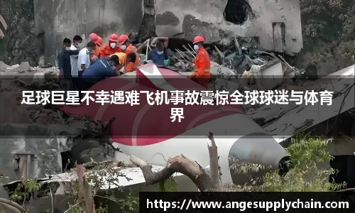 乐发Vll官方网站